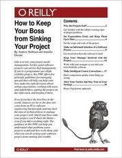 How to Keep Your Boss from Sinking Your Project