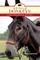 The Book of Donkeys