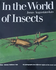 In the World of Insects