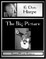Big Picture