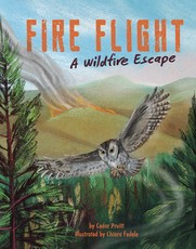 Fire Flight
