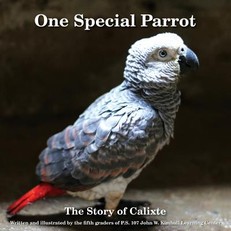 One Special Parrot