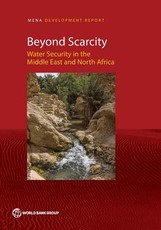 Beyond Scarcity