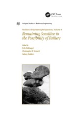 Resilience Engineering Perspectives, Volume 1