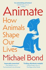 Animate