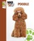 Poodle