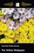 The yellow Wallpaper