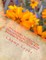 ***A SUDOKU Puzzle***200 Challenging*Puzzles with Answers*Book37*Vol.37****