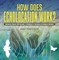 How Does Echolocation Work? Science Book 4th Grade | Children's Science & Nature Books