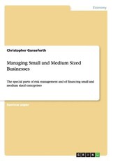 Managing Small and Medium Sized Businesses