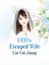 CEO's Escaped Wife
