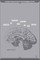 Ghosts of Theatre and Cinema in the Brain