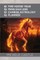2026 Fire Horse Year
