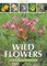 Wild Flowers of Southeast Botswana