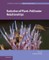 Evolution of Plant-Pollinator Relationships