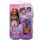 BARBIE DREAM BESTIES lėlė Teresa (kelionių tema) (JMV18)