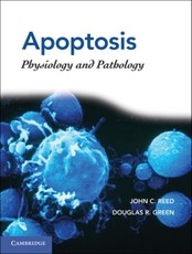 Apoptosis