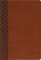 Amplified Holy Bible, Large Print, Leathersoft, Brown