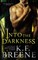 Into the Darkness (Darkness, 1)