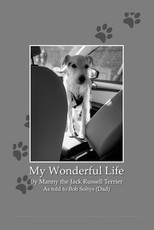 My Wonderful Life
