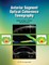 Anterior Segment Optical Coherence Tomography