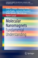 Molecular Nanomagnets