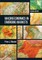 Macroeconomics in Emerging Markets