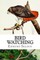 Bird Watching