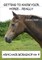 Getting To Know Your Horse....Really - Armchair Workshop No.4
