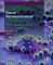 Tumor Microenviroment