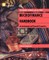 Microfinance Handbook