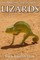 101 Amazing Facts about Lizards