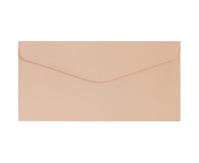 Vokai DL GLADKI 120g 10vnt persikų