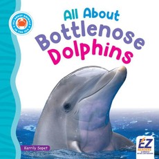 All about Bottlenose Dolphins