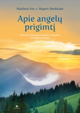 APIE ANGELŲ PRIGIMTĮ: ten, kur susitinka mokslo ir dvasios tyrinėjimo laukai