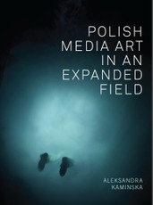 Polish Media Art in an Expanded Field