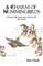 A Charm of Hummingbirds