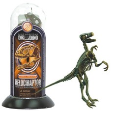 Konstruktorius dinozauro skeletas „Velociraptor“