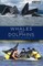 Whales and Dolphins