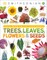 Trees, Leaves, Flowers and Seeds