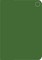 Verdant Dusk Pocket Blank Notebook