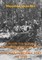 Model For Modern Nonlinear Noncontiguous Operations: The War In Burma, 1943 To 1945