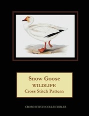 Snow Goose