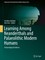 Learning Among Neanderthals and Palaeolithic Modern Humans