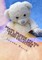 Brainy, Splodge and You Can Do It! Children's Story Collection