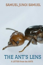 Ant's Lens: A Letter from the Ants