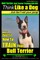 Bull Terrier, Bull Terrier Training AAA Akc