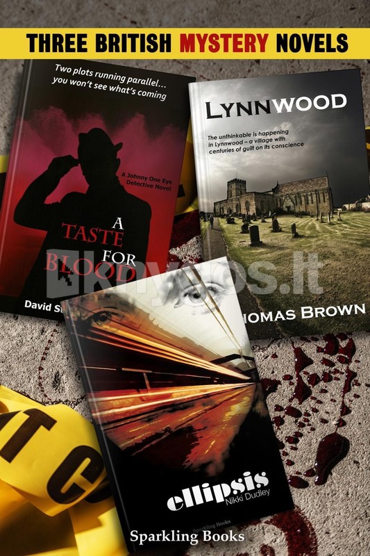 Three British Mystery Novels Knygos.lt