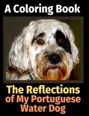 The Reflections of My Portuguese Water Dog