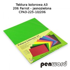 Kartonas A3/10l 225g žalias PenWord